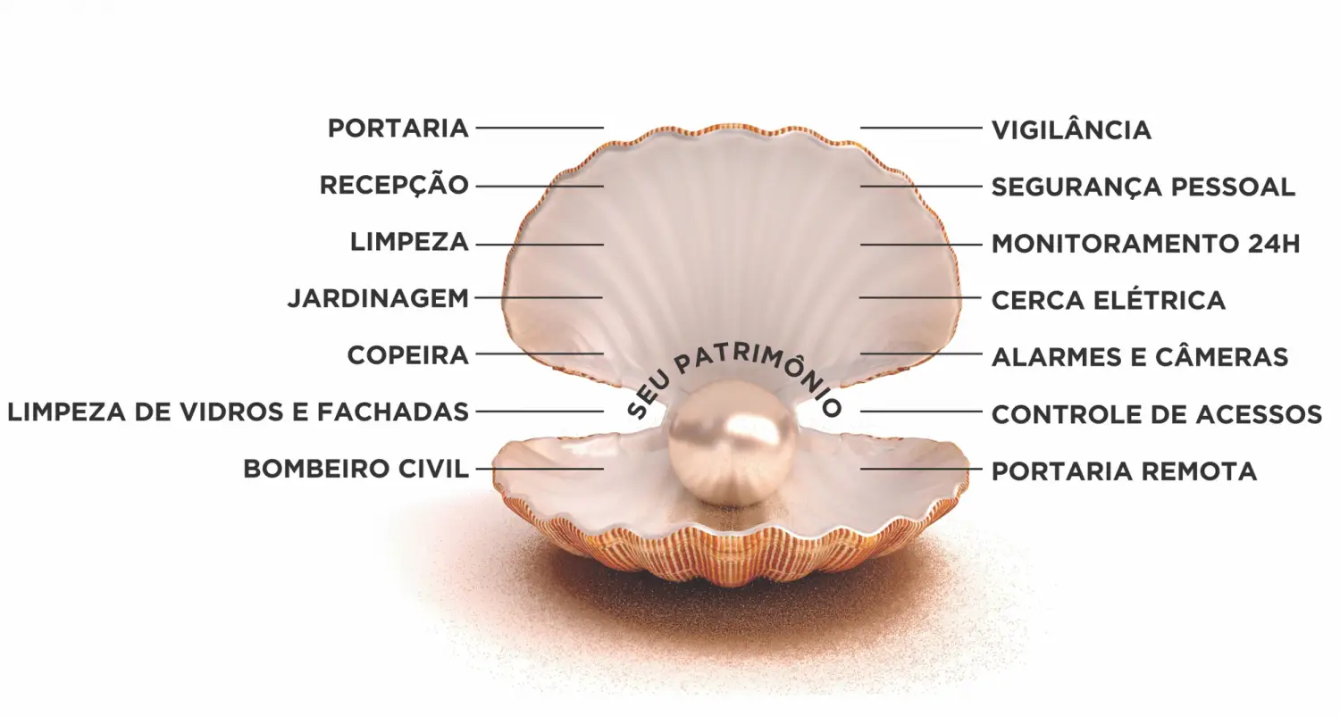 Concha-de-Servicos-Schimitd-1500x802
